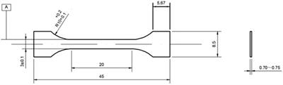 Crack propagation and strain-induced α’-martensite transformation in selective laser melting 316L stainless steels